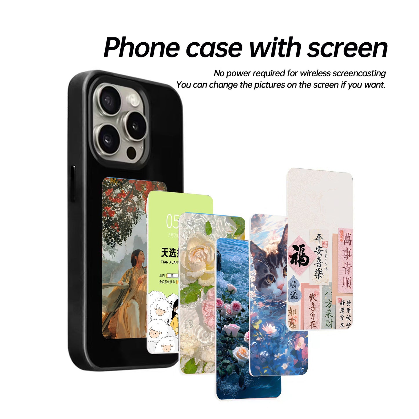 PicFlip Case